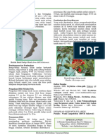 Erythrina Crista-Galli PDF
