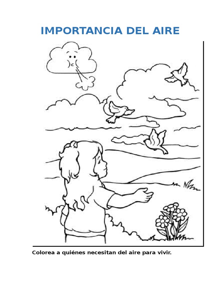 Importancia Del Aire PDF
