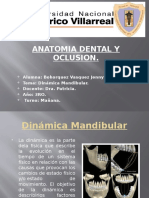 Dinamica Mandibular