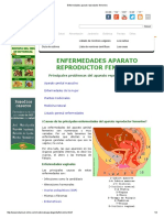 Enfermedades Aparato Reproductor Femenino