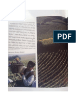 Geograhy To Wine PDF