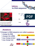 Overview Mutation Polymorphism