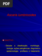 Download Ascaris lumbricoides by Ana Paula13 SN33091071 doc pdf