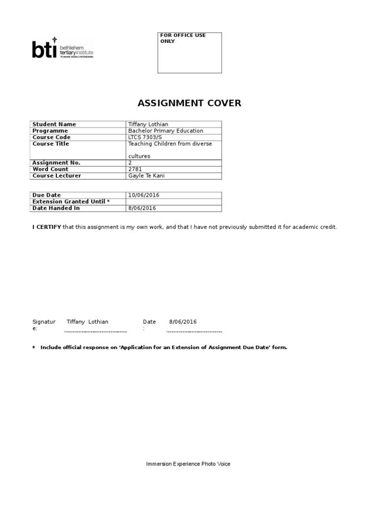 Immersion essay picture