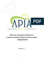 Ghid_pentru_solicitan-ii_de_pl--i_directe_si_ANT_v_1.0_2016.pdf