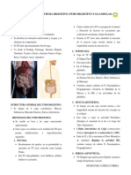 Contenido #12 Sistema Digestivo (Tubo Digestivo y Glandulas) Patricia Correa.