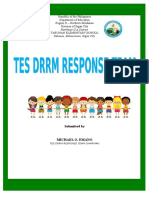 DRRM Report