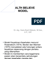 17 - Health Believe Model-chem i Ku 2011