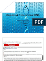 Screens and Recombinant DNA Slides