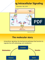 Intracellular+Signaling - 11 10 10