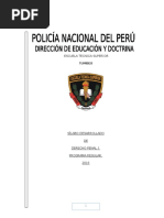 Sillabo desarrollado de  Derecho Penal I PNP