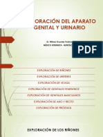 Exploracion Del Aparato Genital y Urinar PDF