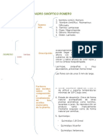 Deber 3 Aceites Esenciales 