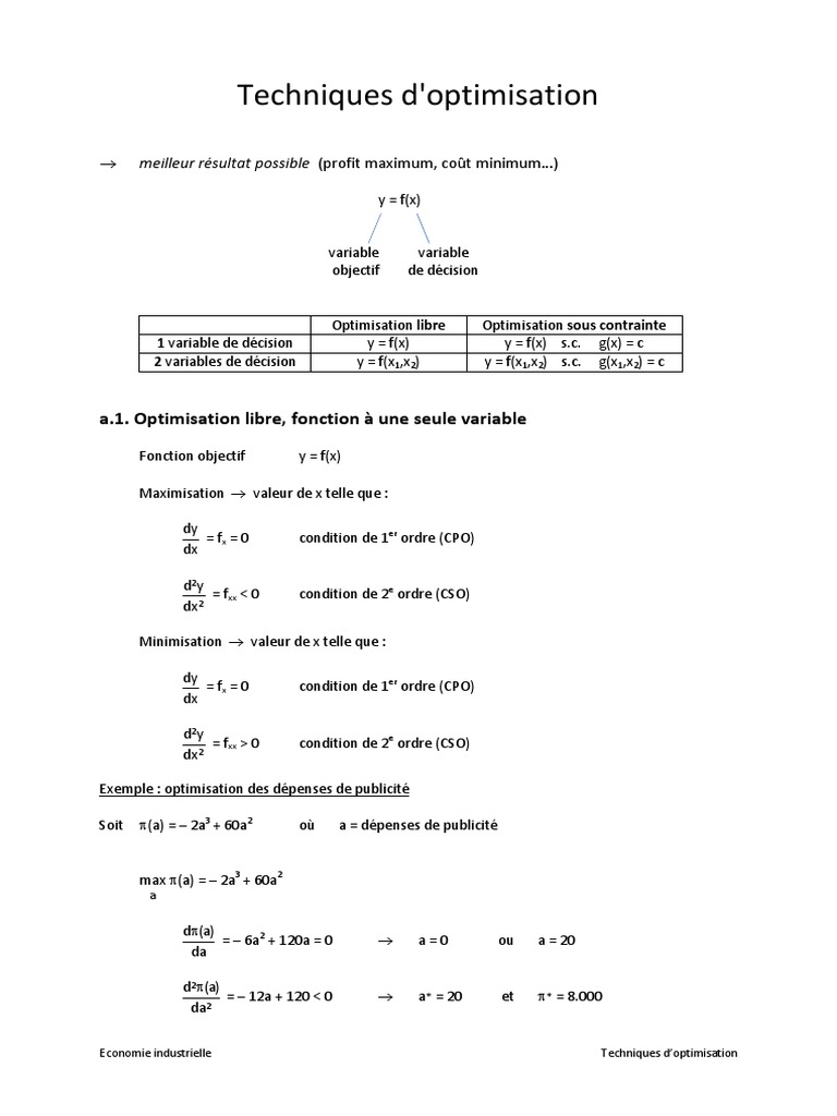 Techniques d'optimisation en économie | PDF | Mathématiques de l ...
