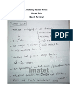 Anatomy Review Notes Upper Limb