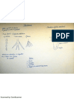 Schema Tablei PDF