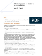 BGP TTL Security Hack.pdf