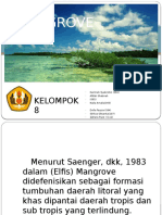 Bioper Mngrove Kelompok 8