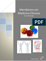 Meridianos em Medicina Chinesa