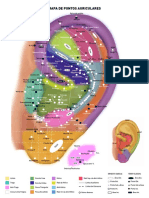 Mapa Auricular