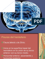 24787046-Hemisferios-Cerebrales.ppt