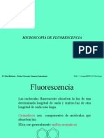FluorecenCofocalOK
