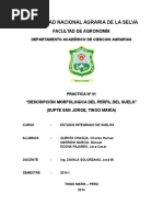 Coliona Baja en Supte