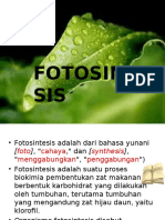 fotosintesis.pptx