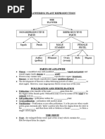 Flower Reproduction Worksheet