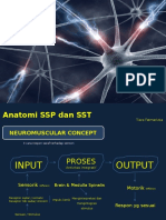 1 Anatimo Fisiologi Neuro