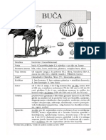 POZABLJENE POLJŠČINE Buce PDF