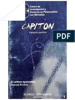 Cristina Gonzalez de Garroni - Capitón CID