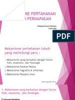 Mekanisme Pertahanan Sistem Pernapasan