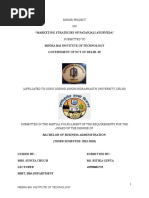 Download Marketing Strategies of Patanjali Ayurved by ritika gupta  SN331023910 doc pdf