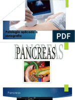 pancreas