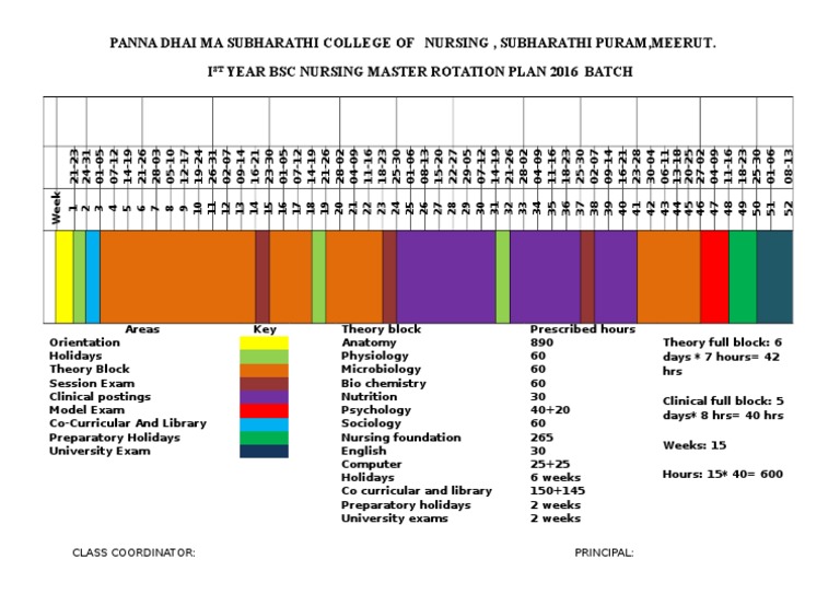 BSc Nursing 1st Year Master Rotation Plan | PDF