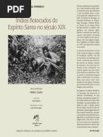 Livro Indios Botocudos do Espírito Santo no século XIX