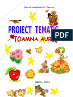 Documents - Tips Proiect Tematic Toamna Nivel I