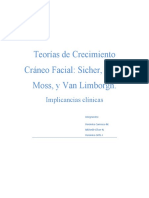 TEORIAS Crecimiento Craneo Facial Final