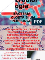 Microbiología 1