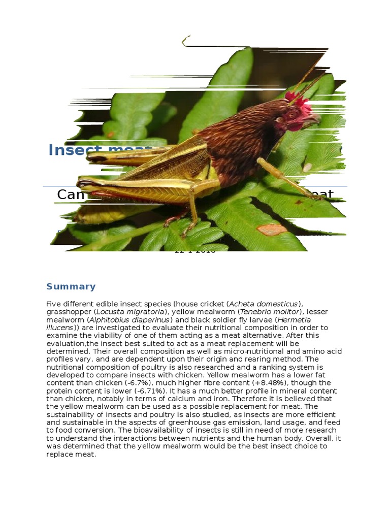 Insect Meat As A Replacement For Chicken Meat PDF Nutrition Diet