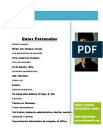 Curriculum Vitae EJEMPLO