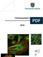 Clase 10 Citoesqueleto 2016 Parte I