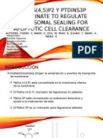 Presentacion Biocel. Paper 17 (A)