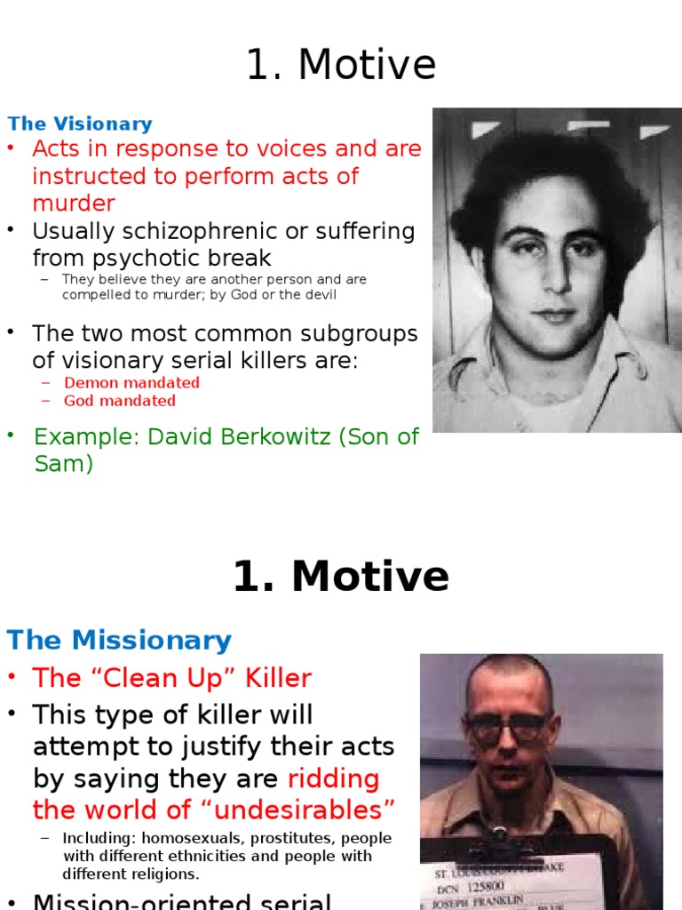 Visionary Serial Killer Examples