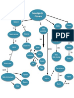 Mapa Conceptual