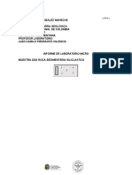 Informe Micro Sedimentarias