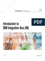 IBM Integration Bus for Customers V1(2).pdf