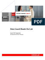 dg-hands-on-lab-427721.pdf