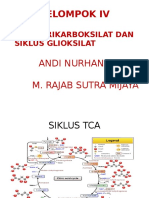 Siklus Glioksilat